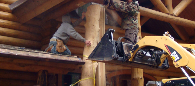Log Home Log Replacement  Jefferson County, Ohio